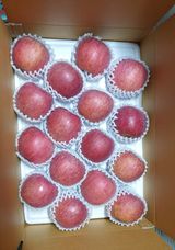 팜모닝 · 게시글 이미지