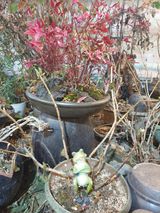 팜모닝 1월 내 작물 자랑하기·참여글 게시글 이미지