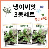 팜모닝 · 게시글 이미지