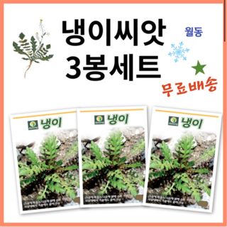 주주씨앗님의 작성글 사진