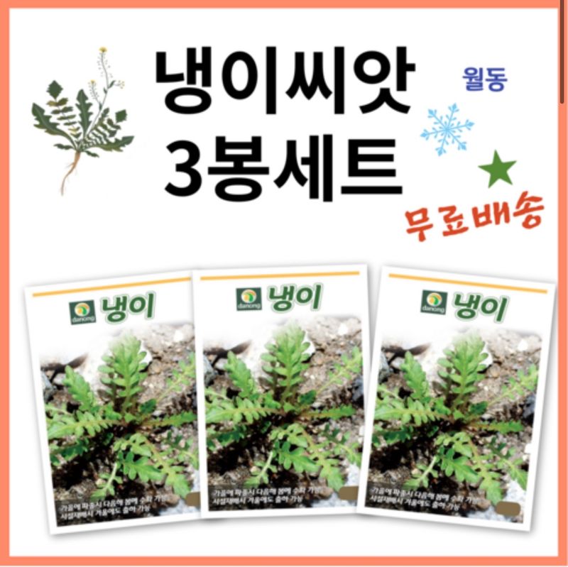 주주씨앗님의 장터 판매 상품 [[무료배송] 냉이씨앗 3g 3봉세트] 첨부 사진