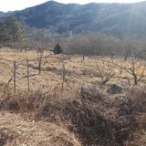 팜모닝 출석결과 자랑하기·참여글 게시글 이미지