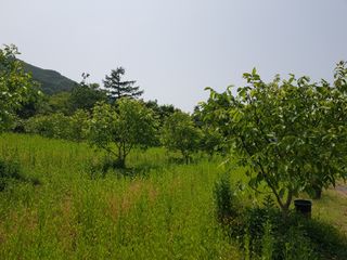 정석구님의 1월 내 작물 자랑하기 · 참여글 작성글 사진