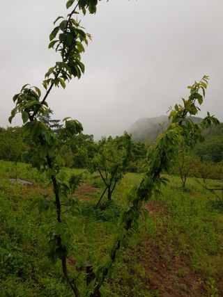 정석구님의 1월 내 작물 자랑하기 · 참여글 작성글 사진