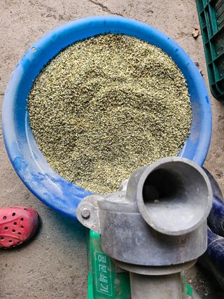 원머루 강낙도님의 작성글 사진