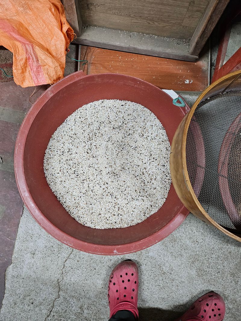 원머루 강낙도님의 장터 판매 상품 [녹두타개한 .율무 1.2kg] 첨부 사진