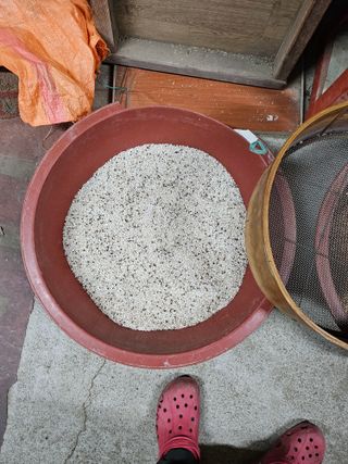 원머루 강낙도님의 작성글 사진