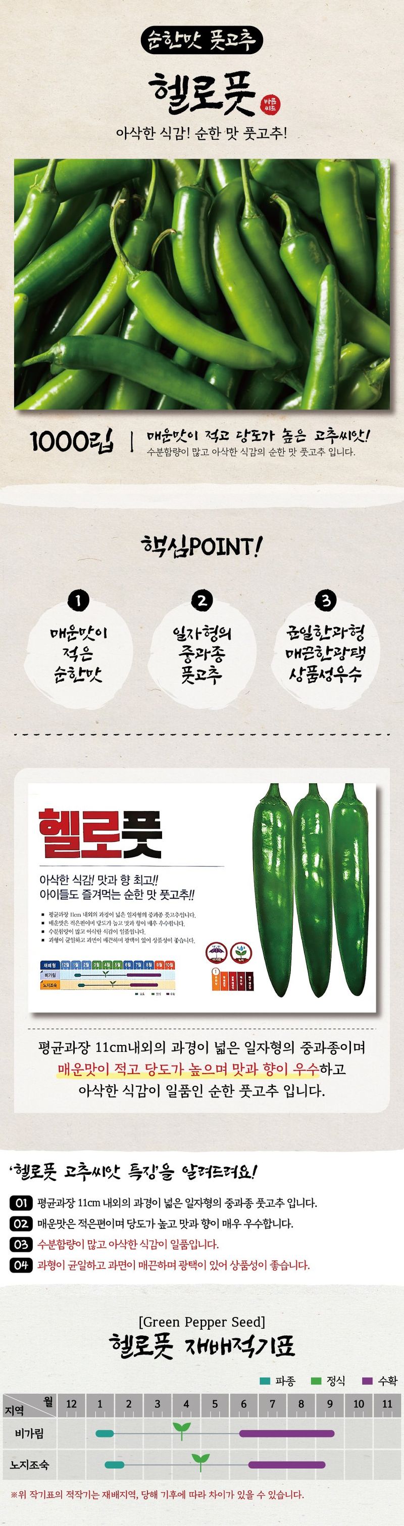 산들마켓,씨앗마켓님의 장터 판매 상품 [바른씨드 헬로풋 고추 씨앗 1000립 순한맛 아삭이 풋고추 종자] 첨부 사진