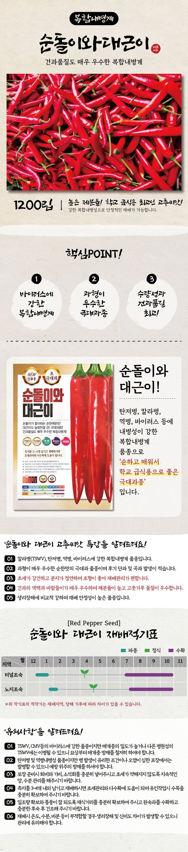 산들마켓,씨앗마켓님의 장터 판매 상품 [순돌이와 대근이 고추 씨앗 1200립 순한 매운맛 초극대과 고추씨 종자] 첨부 사진