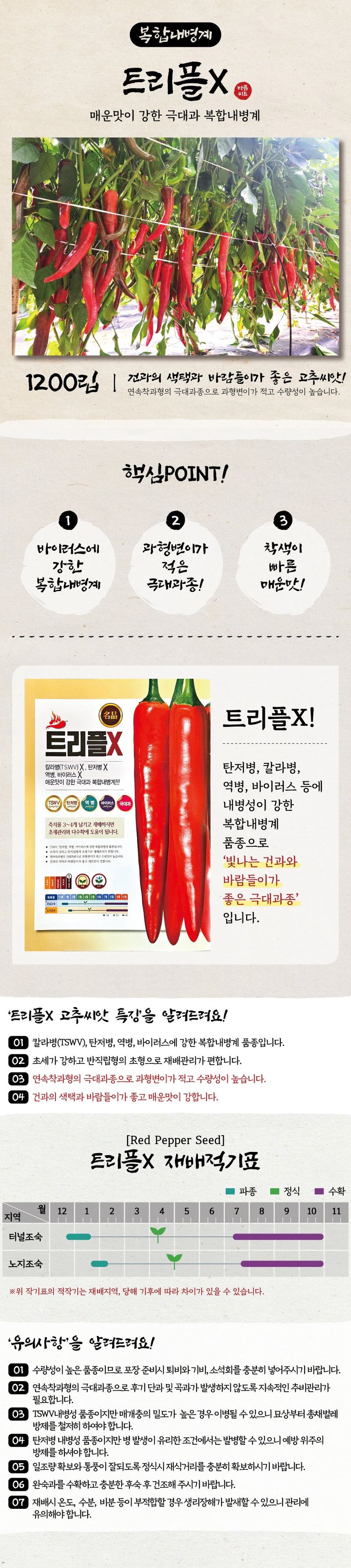 산들마켓,씨앗마켓님의 장터 판매 상품 [산들마켓 트리플엑스 고추 씨앗 1200립 강한 매운맛 복합내병계 고추씨 종자] 첨부 사진
