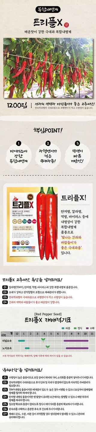 산들마켓,씨앗마켓님의 작성글 사진