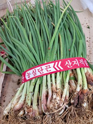 경선님의 1월 내 작물 자랑하기 · 참여글 작성글 사진