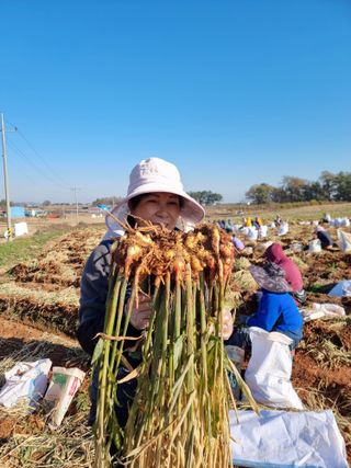 김영자님의 1월 내 작물 자랑하기 · 참여글 작성글 사진