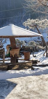 팜모닝 자유주제·자유게시판 게시글 이미지