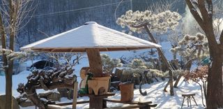 알 수 없음님의 자유주제 · 자유게시판 작성글 사진