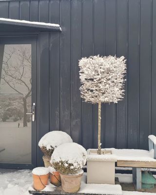 김기옥 님의 자유주제 · 자유게시판 작성글 사진