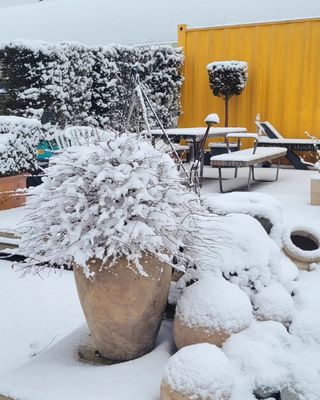 김기옥 님의 자유주제 · 자유게시판 작성글 사진