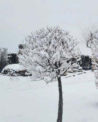 김기옥 님의 자유주제 · 자유게시판 작성글 사진