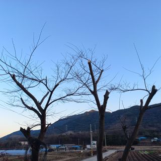 들깨15206님의 기타작물 · 영농일지 작성글 사진