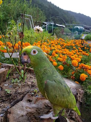 쏭이네농장(현자)님의 1월 내 작물 자랑하기 · 참여글 작성글 사진