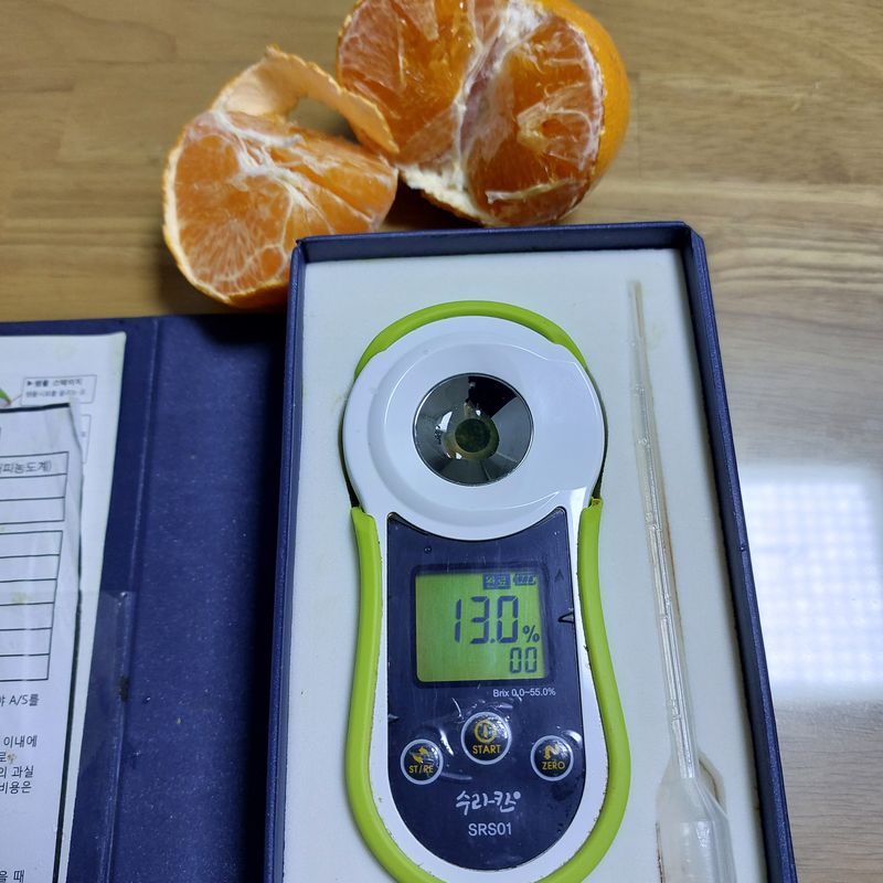 성민감귤농원님의 장터 판매 상품 [천혜향5kg] 첨부 사진