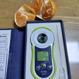 성민감귤농원님의 작성글 사진