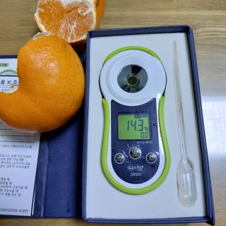 성민감귤농원님의 작성글 사진