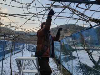 사그막농원님의 1월 내 작물 자랑하기 · 참여글 작성글 사진