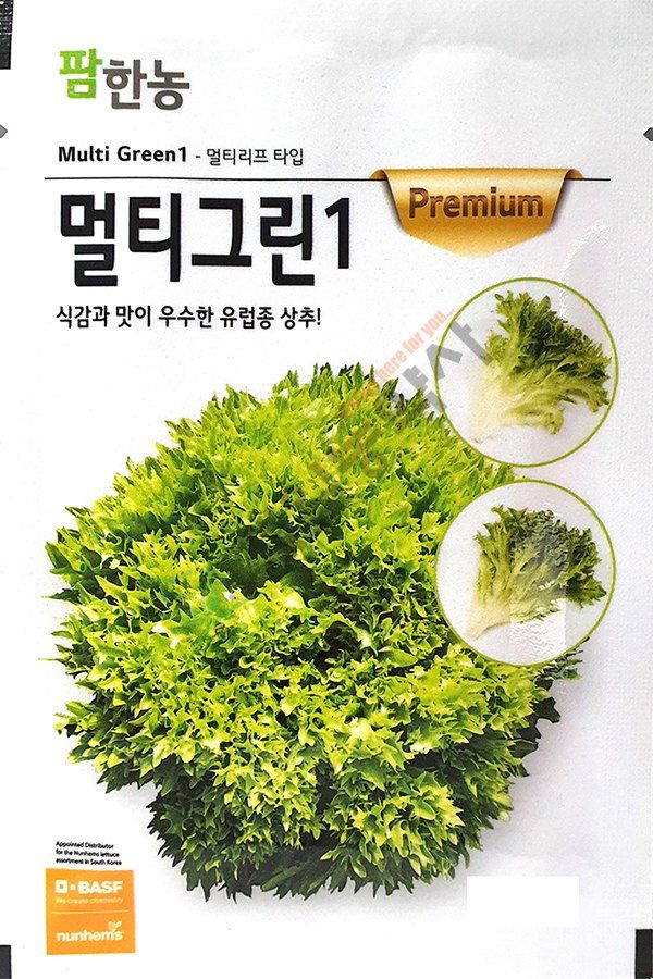 안산제일농약사님의 장터 판매 상품 [팜한농 코팅상추모음 유럽상추씨앗 피델상추 찰스상추 바사리상추 남은수량특가] 첨부 사진