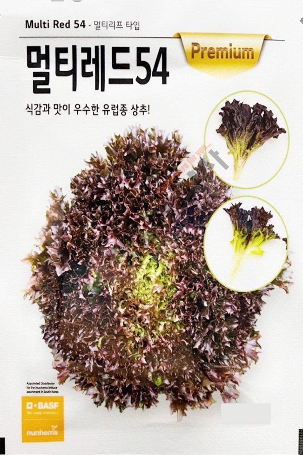 안산제일농약사님의 장터 판매 상품 [팜한농 코팅상추모음 유럽상추씨앗 피델상추 찰스상추 바사리상추 남은수량특가] 첨부 사진