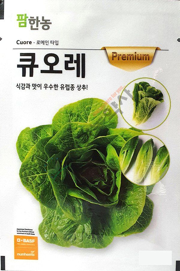 안산제일농약사님의 장터 판매 상품 [팜한농 코팅상추모음 유럽상추씨앗 피델상추 찰스상추 바사리상추 남은수량특가] 첨부 사진