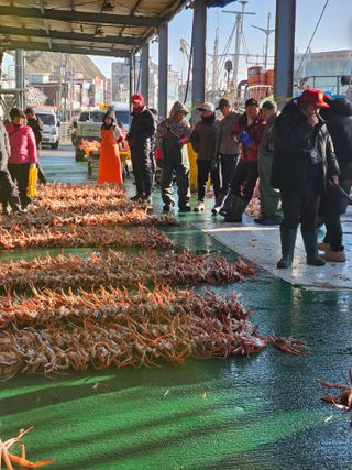 노가네수산님의 우리동네 · 동네자랑 작성글 사진