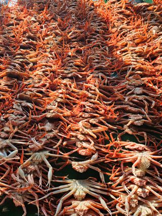 노가네수산님의 우리동네 · 동네자랑 작성글 사진