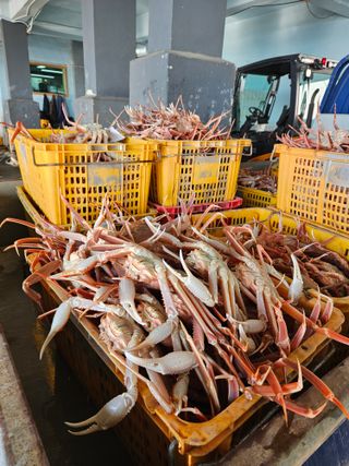 노가네수산님의 우리동네 · 동네자랑 작성글 사진