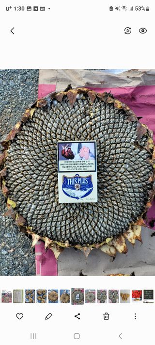 정찬영님의 팜모닝공식 · 광고승인요청 작성글 사진