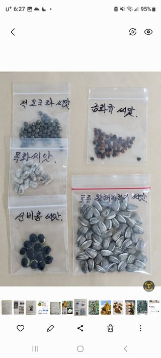 정찬영님의 팜모닝공식 · 광고승인요청 작성글 사진