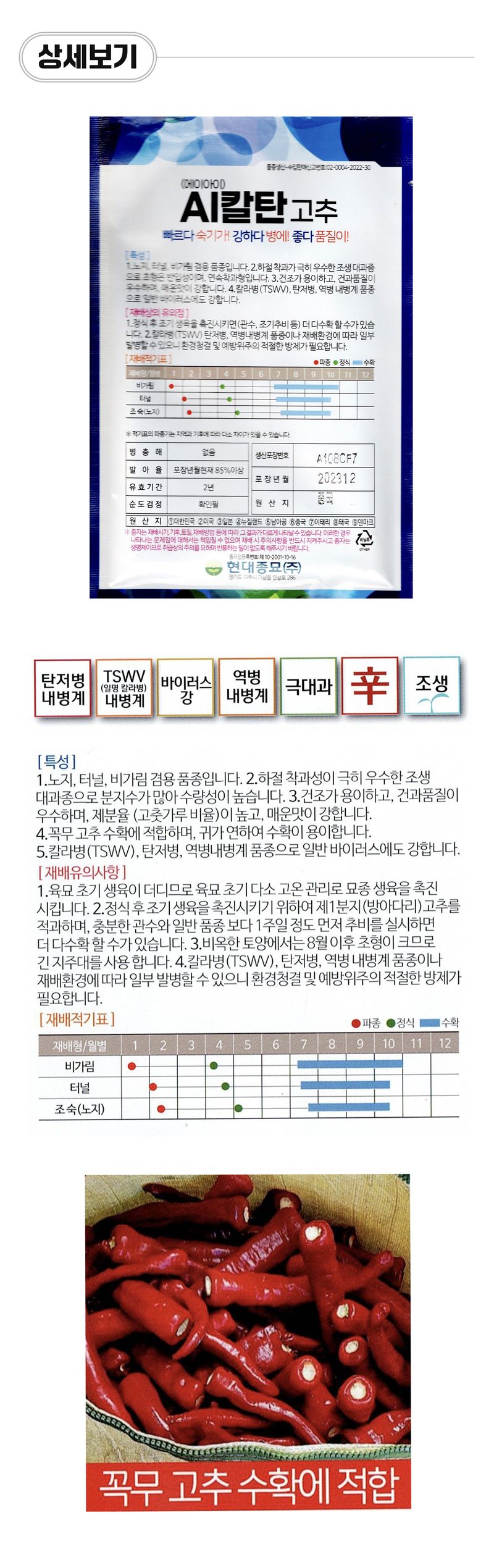 팜모닝 상점님의 장터 판매 상품 [[현대종묘] AI칼탄 복합내병계 고추씨앗 1200립] 첨부 사진