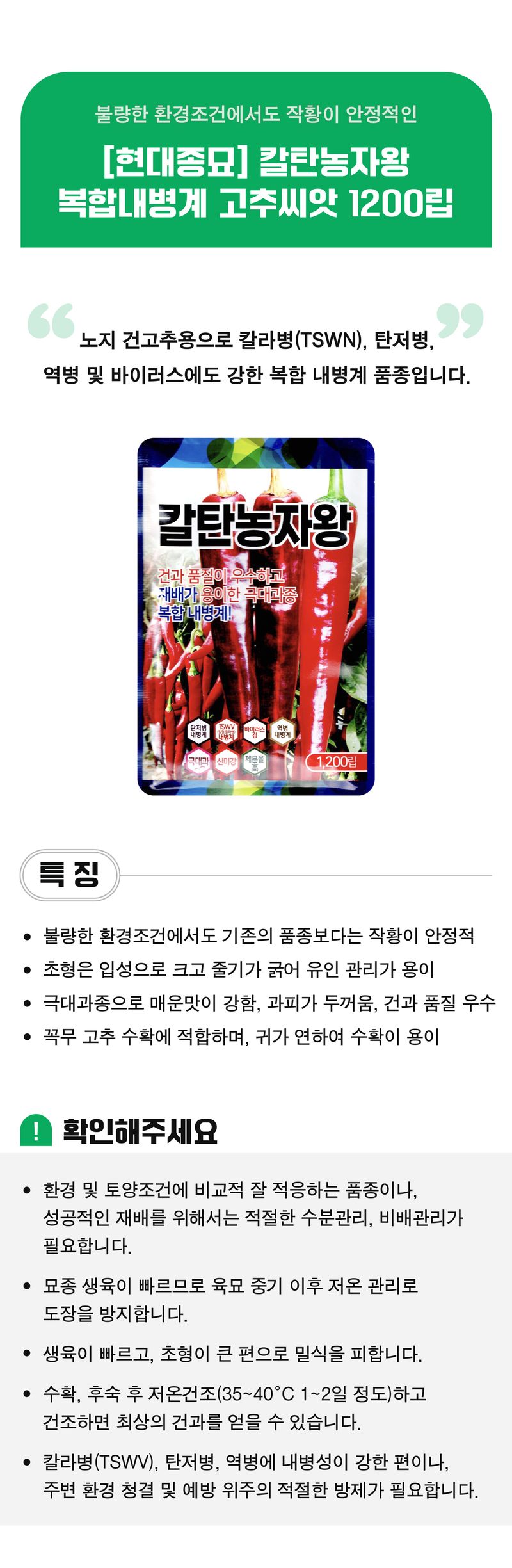 팜모닝 상점님의 장터 판매 상품 [[현대종묘] 칼탄농자왕 복합내병계 고추씨앗 1200립] 첨부 사진