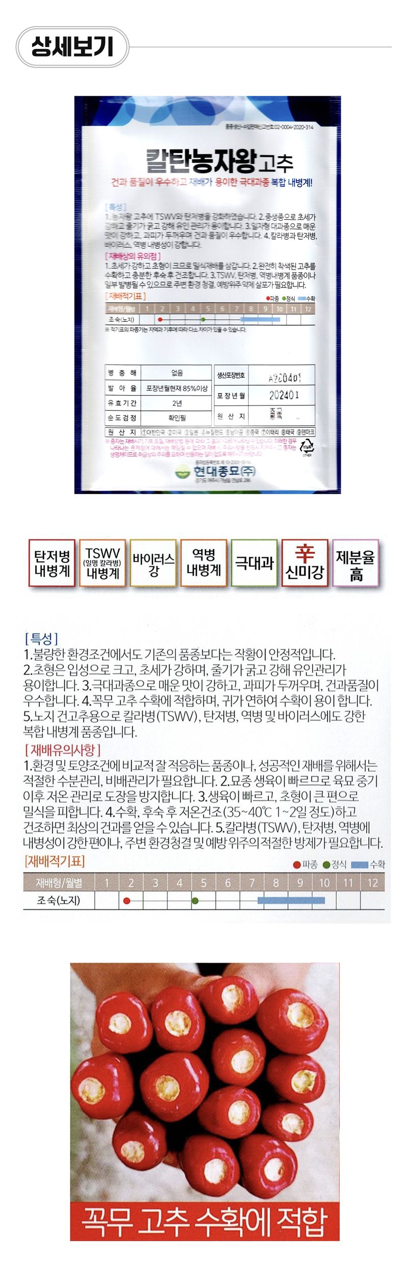 팜모닝 상점님의 장터 판매 상품 [[현대종묘] 칼탄농자왕 복합내병계 고추씨앗 1200립] 첨부 사진