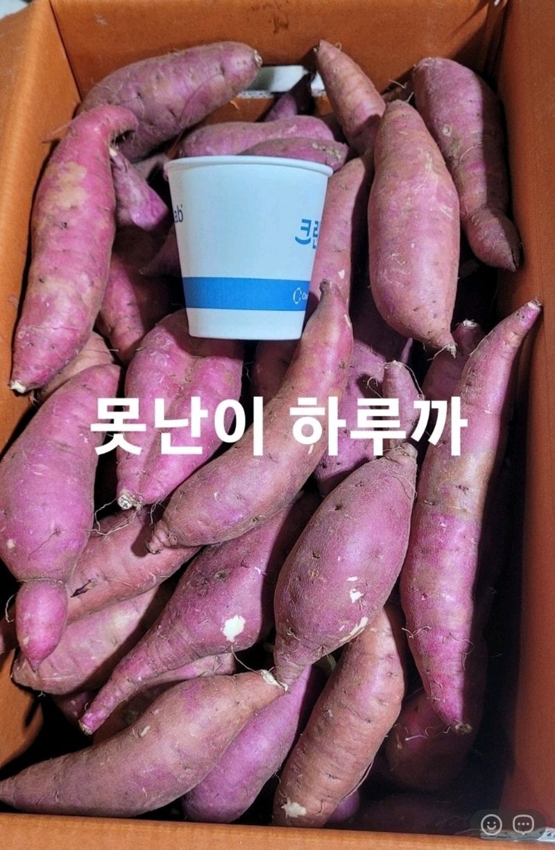 사랑꽃농장님의 장터 판매 상품 [고구마 (호박.밤.반반.실속형) 판매] 첨부 사진