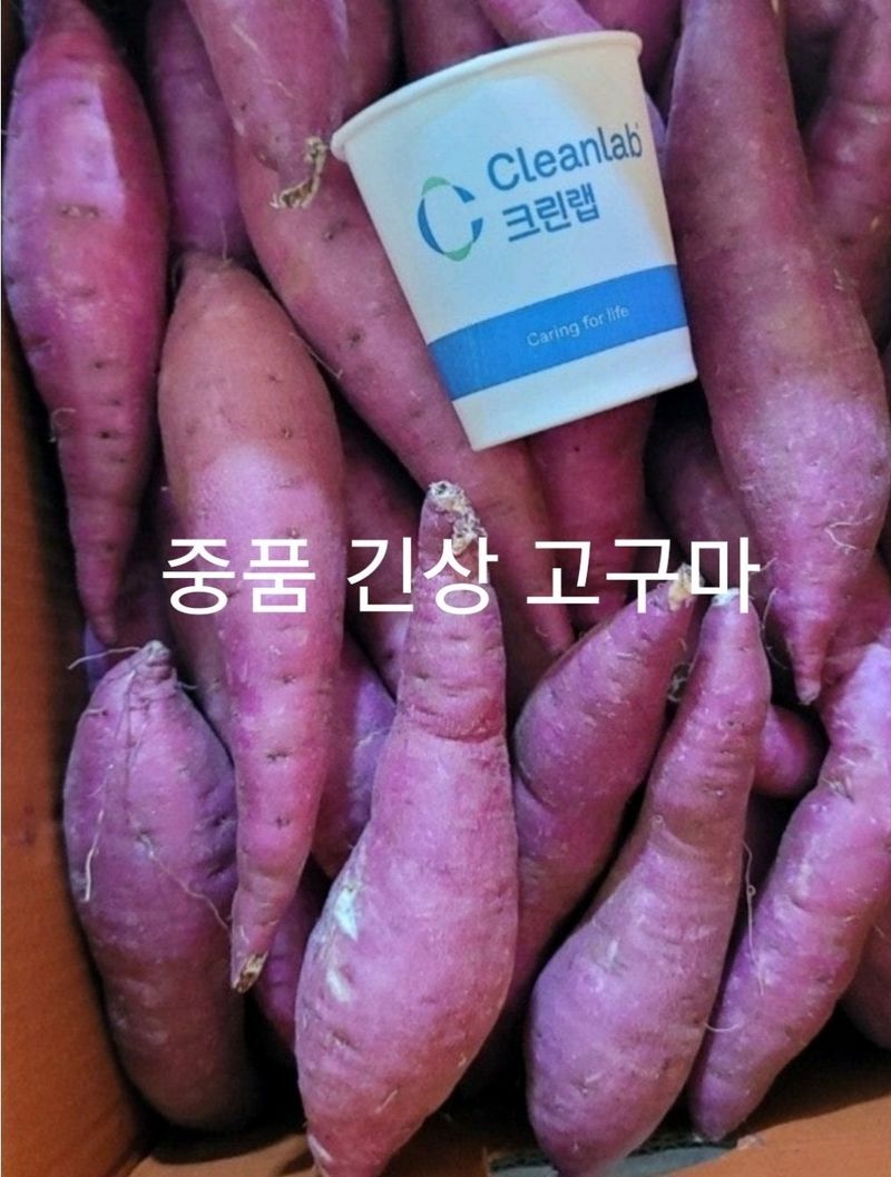 사랑꽃농장님의 장터 판매 상품 [고구마 (호박.밤.반반.실속형) 판매] 첨부 사진