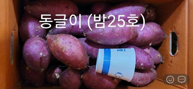 사랑꽃농장님의 장터 판매 상품 [고구마 (호박.밤.반반.실속형) 판매] 첨부 사진
