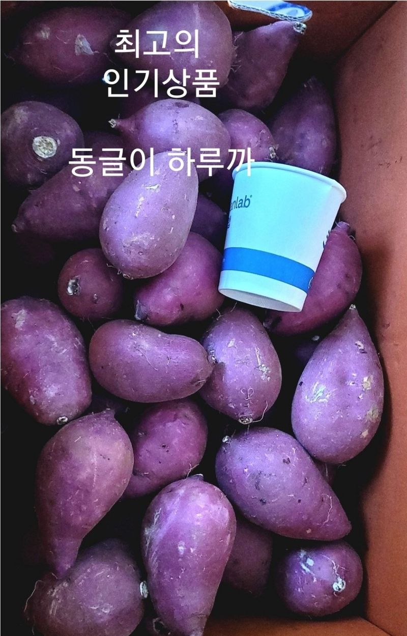 사랑꽃농장님의 장터 판매 상품 [고구마 (호박.밤.반반.실속형) 판매] 첨부 사진