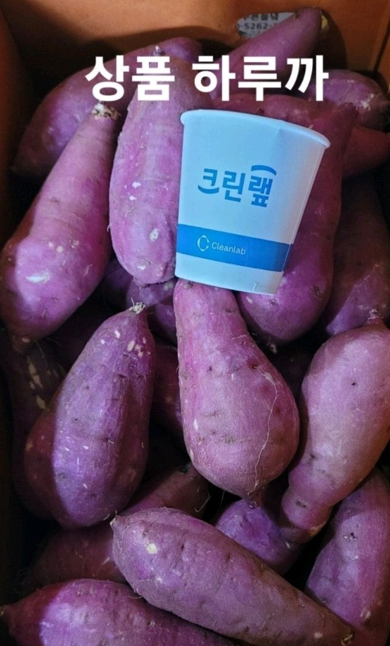 사랑꽃농장님의 장터 판매 상품 [고구마 (호박.밤.반반.실속형) 판매] 첨부 사진