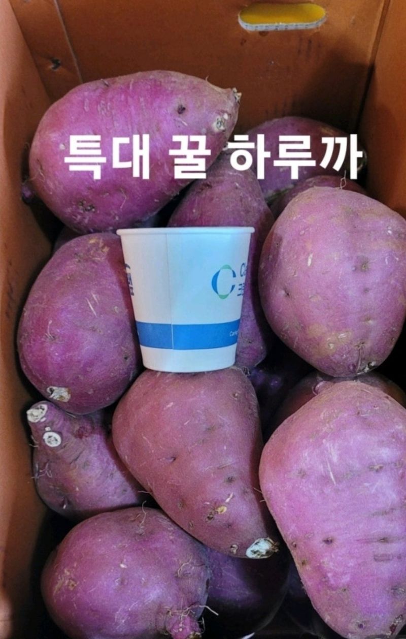 사랑꽃농장님의 장터 판매 상품 [고구마 (호박.밤.반반.실속형) 판매] 첨부 사진