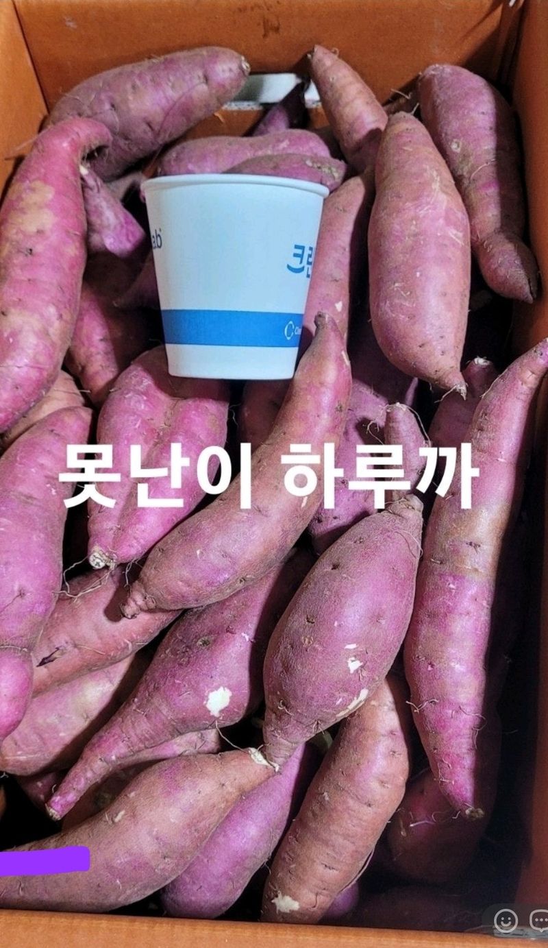 사랑꽃농장님의 장터 판매 상품 [고구마 (호박.밤.반반.실속형) 판매] 첨부 사진