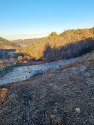 이남신님의 기타작물 · 자유게시판 작성글 사진