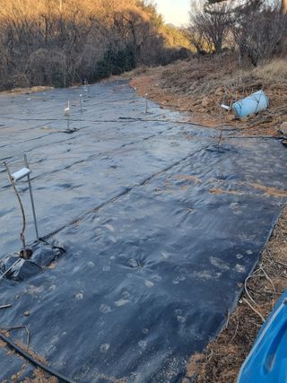 이남신님의 기타작물 · 자유게시판 작성글 사진