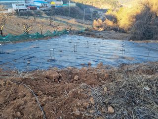 이남신님의 기타작물 · 자유게시판 작성글 사진