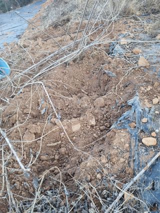 이남신님의 기타작물 · 자유게시판 작성글 사진